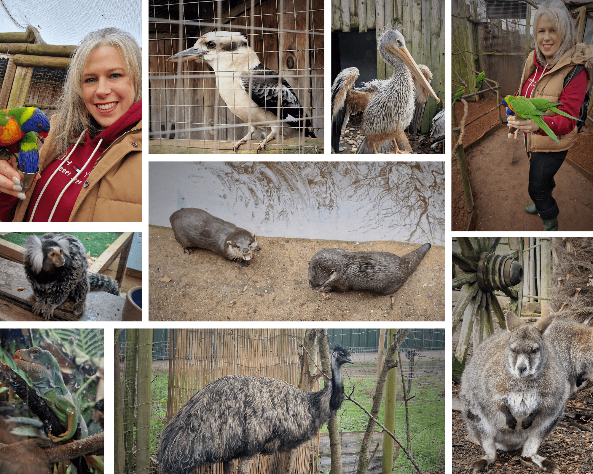 Wild Zoological Park